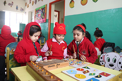 Raza International Girls School