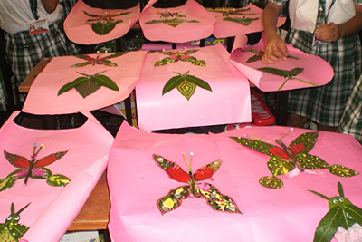 Raza International Girls School